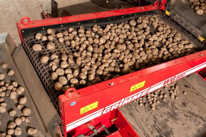 Grimme  WG 900 Websorteerder