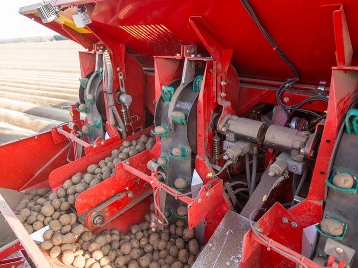 Grimme GL 420 Exacta Pootmachine 4-Rijen